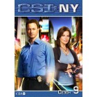Место преступления: Нью-Йорк / CSI: New York (9 сезон)